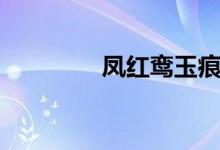凤红鸾玉痕改写（凤红鸾）
