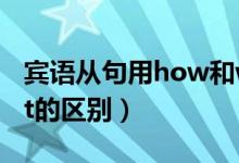 宾语从句用how和what的区别（how和what的区别）