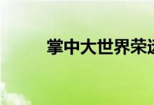 掌中大世界荣远航（掌中大世界）
