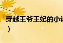 穿越王爷王妃的小说（穿越小说王爷王妃系列）