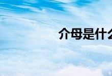介母是什么字母（介母）