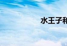 水王子和王默的床文