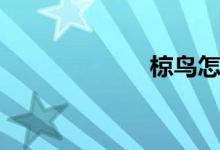 椋鸟怎么读（椋）