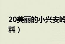 20美丽的小兴安岭资料(美丽小兴安岭的资料)