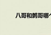 八哥和鹩哥哪个贵（八哥和鹩哥）