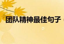 团队精神最佳句子（形容团队精神的词语）