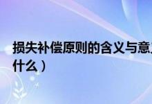 损失补偿原则的含义与意义（损失补偿原则的含义与目的是什么）