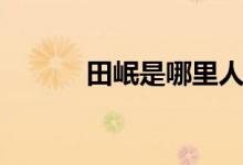 田岷是哪里人（田岷多大年龄）