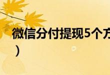 微信分付提现5个方法(微信钱包提现手续费)