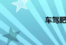 车驾肥轻（车驾）