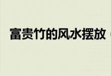 富贵竹的风水摆放(富贵竹风水摆放禁忌)