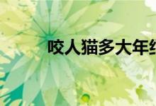咬人猫多大年纪（咬人猫多少岁）