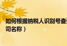 如何根据纳税人识别号查询企业（通过纳税人识别号查询公司名称）