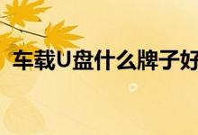 车载U盘什么牌子好（车载u盘什么牌子好）