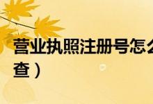 营业执照注册号怎么查询（营业执照编号怎么查）