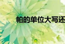帕的单位大写还是小写（帕的单位）