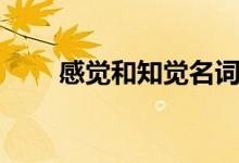 感觉和知觉名词解释（感觉和知觉）
