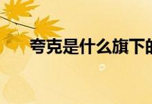 夸克是什么旗下的产品（夸克是什么）