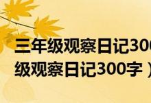 三年级观察日记300字左右植物怎么写（三年级观察日记300字）