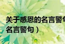 关于感恩的名言警句及名人典故（关于感恩的名言警句）
