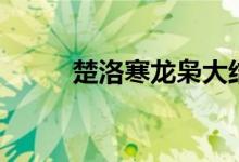 楚洛寒龙枭大结局（楚洛寒龙枭）