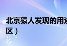 北京猿人发现的用途(北京猿人发现在哪个地区)