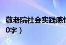 敬老院社会实践感悟100字（社会实践感悟100字）