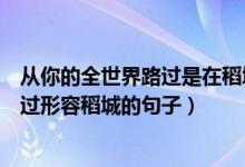 从你的全世界路过是在稻城哪里拍的（电影从你的全世界路过形容稻城的句子）