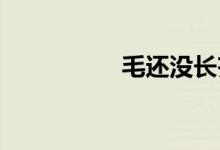 毛还没长齐的初中女生