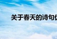 关于春天的诗句优美（关于春天的诗）