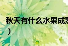 秋天有什么水果成熟了十种（秋天有什么水果）