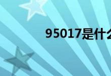 95017是什么号码（95017）
