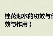 桂花泡水的功效与作用及禁忌（桂花泡水的功效与作用）