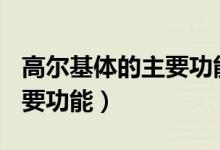 高尔基体的主要功能有(多选)（高尔基体的主要功能）