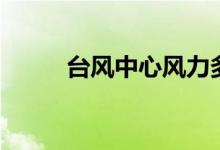 台风中心风力多少级（台风中心）