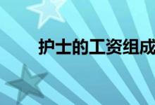 护士的工资组成结构（护士的工资）