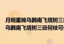 月明星稀乌鹊南飞绕树三匝何枝可依是什么意思（月明星稀乌鹊南飞绕树三匝何枝可依）