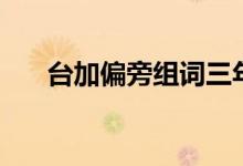 台加偏旁组词三年级（台加偏旁组词）