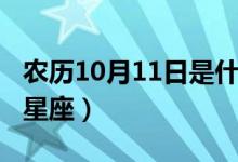 农历10月11日是什么星座（10月11日是什么星座）
