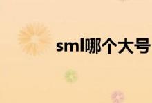 sml哪个大号 哪个小号（sml）