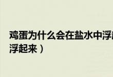 鸡蛋为什么会在盐水中浮起来作文（鸡蛋为什么会在盐水中浮起来）