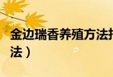 金边瑞香养殖方法扦插视频（金边瑞香养殖方法）