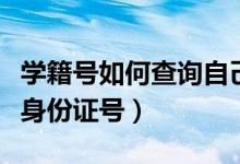 学籍号如何查询自己的学籍号（学籍号是不是身份证号）