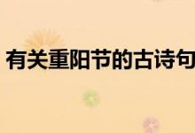 有关重阳节的古诗句子（有关重阳节的古诗）
