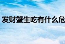 发财蟹生吃有什么危害（发财蟹有寄生虫么）