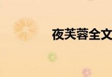 夜芙蓉全文阅读(夜芙蓉)