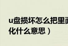 u盘损坏怎么把里面的文件导出来（u盘格式化什么意思）