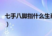 七手八脚指什么生肖好(七手八脚指什么生肖)