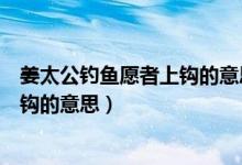 姜太公钓鱼愿者上钩的意思是什么意思（姜太公钓鱼愿者上钩的意思）