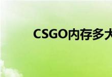 CSGO内存多大（csgo内存多大）